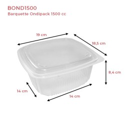 miniature Barquette plastique Ondipack + couvercle